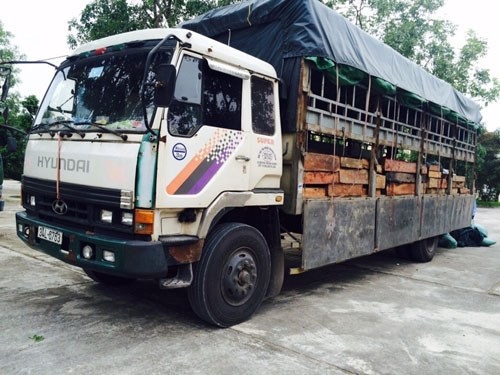 Thanh Hóa: Thu giữ số lượng lớn gỗ lậu