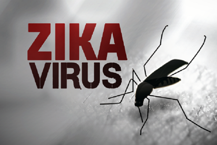 TP. HCM: Ghi nhận 103 trường hợp nhiễm bệnh do virus Zika - Hình 1