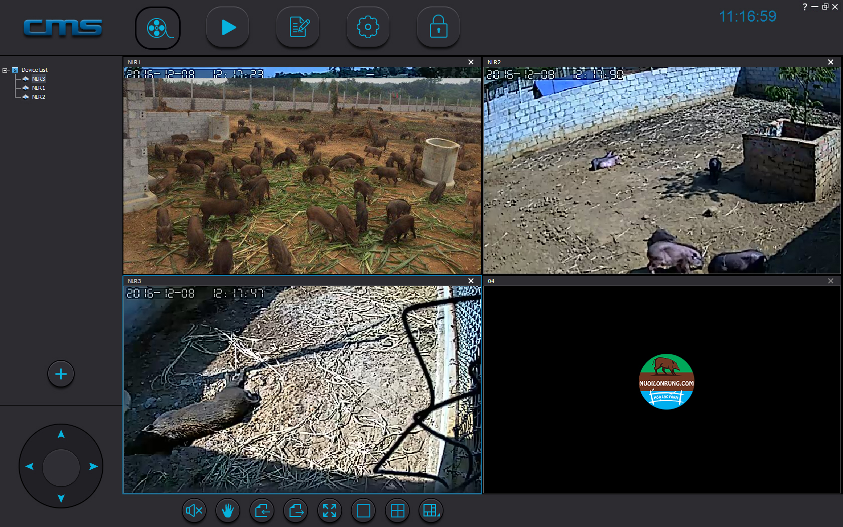 Mô hình start-up độc đáo của "nuôi lợn rừng online" cung cấp dịp lễ Tết Nguyên Đán