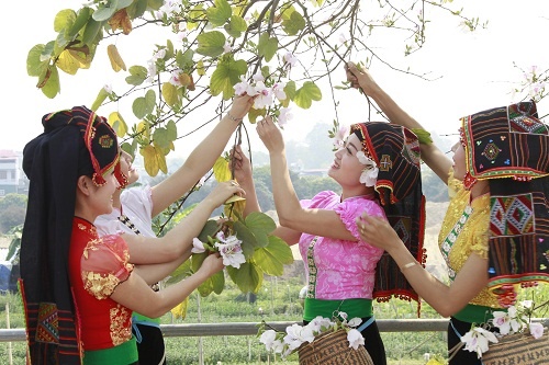 Điện Biên chuẩn bị cho Lễ hội Hoa ban hướng tới năm DLQG Lào Cai – Tây Bắc - Hình 2