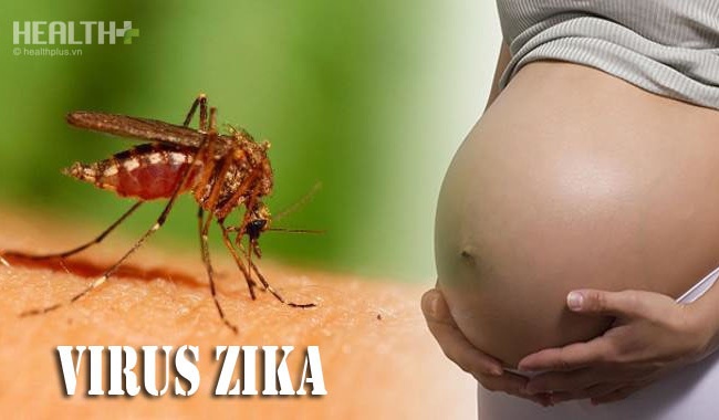 Zika diễn biến 