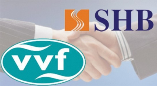 NHNN chính thức chấp thuận VVF sáp nhập vào SHB - Hình 1