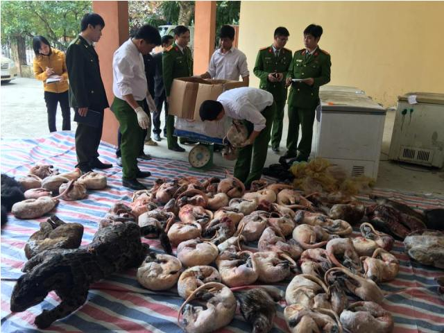 Thanh Hóa: Bắt đối tượng chuyên mua bán động vật hoang dã ướp lạnh