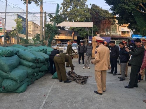 Thanh Hóa: Bắt giữ hơn 11 tấn da trâu, bò hôi thối