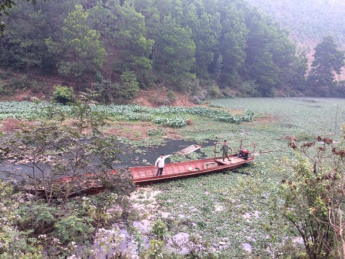 Xã Vũ Linh (Yên Bình, Yên Bái): Hàng loạt nhà máy sắn “bức tử” môi trường