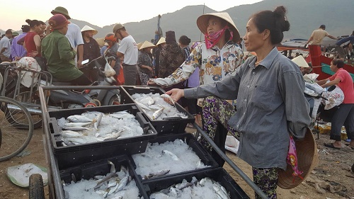 Khẩn trương hoàn thành bồi thường thiệt hại do sự cố môi trường biển