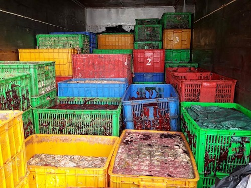 Bắt 3 xe tải chở gần 5 tấn nội tạng hôi thối đổ xuống sông Đồng Nai