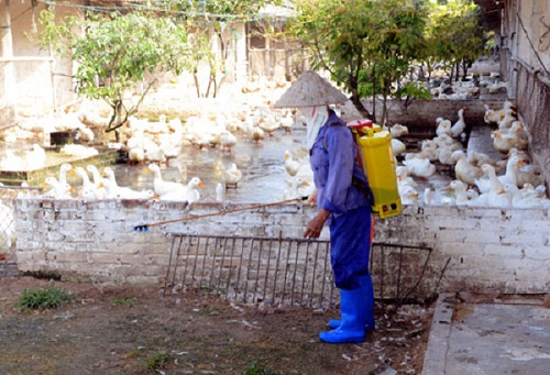 Xuất cấp giống, hóa chất sát trùng cho 11 địa phương