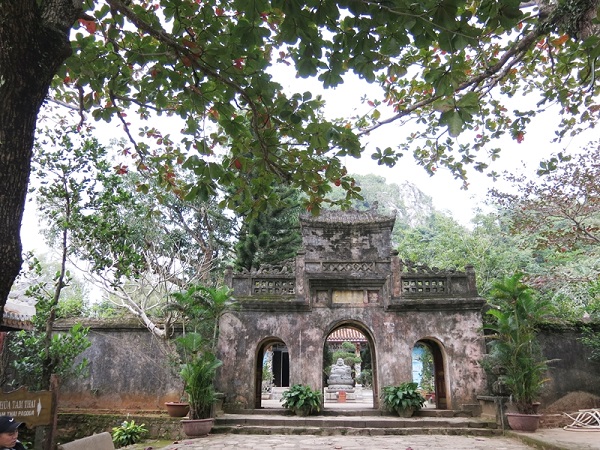 Đà Nẵng: Thêm 7 cây di sản tại danh thắng Ngũ Hành Sơn được công nhận - Hình 1