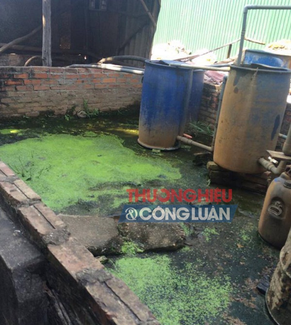 Vĩnh Phúc: Nhà máy giấy Anh Đức “ngang nhiên” xả thải ra môi trường