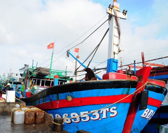 Ngư dân Khánh Hòa và Bình Định phấn khởi trúng đậm mẻ cá ngừ đại dương - Hình 1