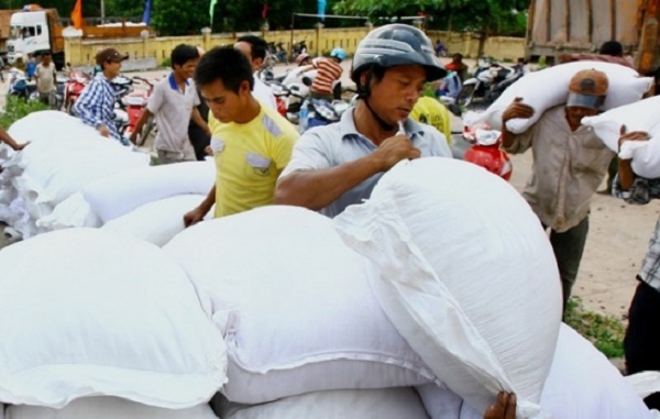 Hỗ trợ hơn 10.000 tấn gạo cho 12 tỉnh