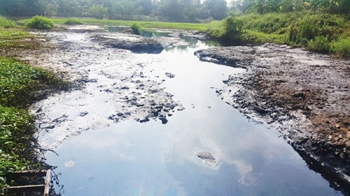 Phối hợp xử lý ô nhiễm nguồn nước hệ thống sông Bắc Hưng Hải