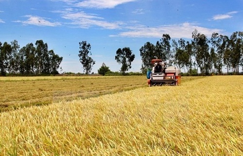 Làm rõ phản ánh tráo máy hỗ trợ nông nghiệp