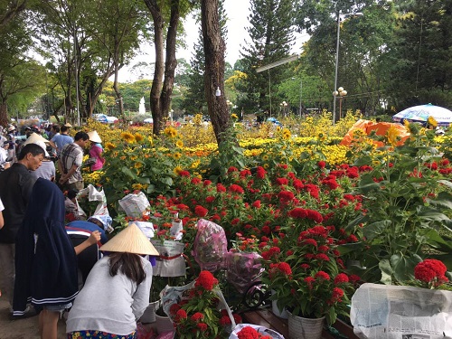 TP. Hồ Chí Minh: Rộn ràng chợ hoa Xuân - Hình 1