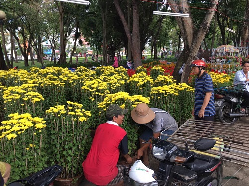 TP. Hồ Chí Minh: Rộn ràng chợ hoa Xuân - Hình 4