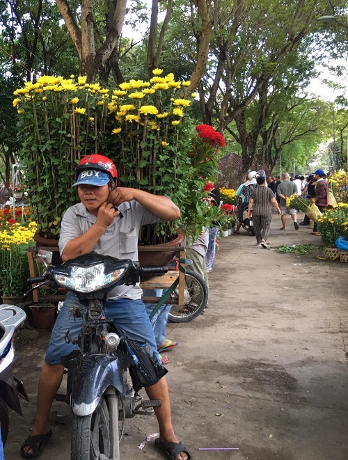 TP. Hồ Chí Minh: Rộn ràng chợ hoa Xuân - Hình 5