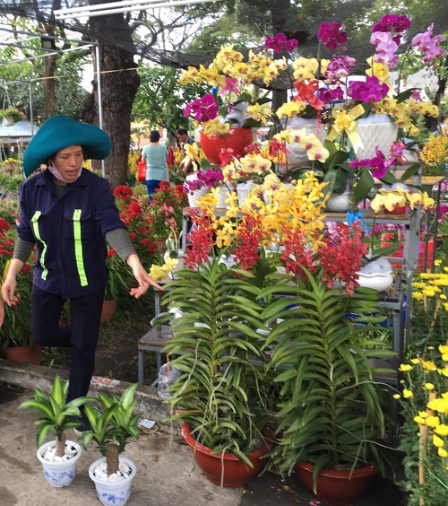 TP. Hồ Chí Minh: Rộn ràng chợ hoa Xuân - Hình 6