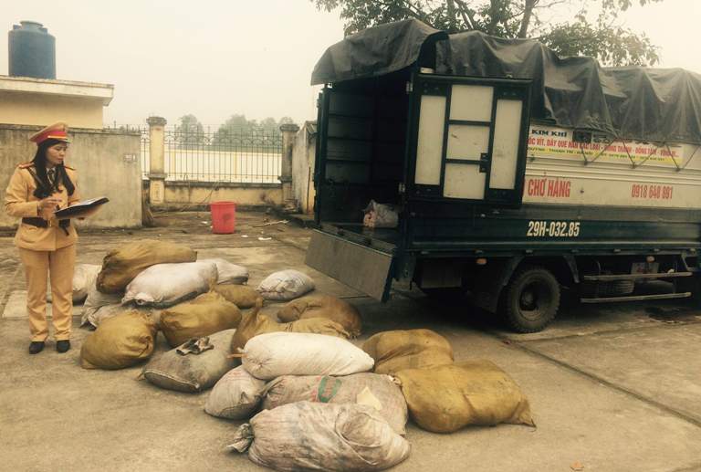 Thanh Hóa: Bắt giữ hơn 2 tấn bì lợn thối