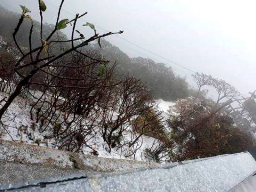 Đỉnh Fansipan (Sapa): Xuất hiện tuyết rơi, mưa băng trong những ngày đầu năm mới - Hình 1
