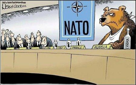 Trưng cầu dân ý gia nhập NATO: Ukraine cứ muốn là được? - Hình 2