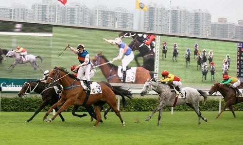 Đặt cược là hoạt động kinh doanh có điều kiện