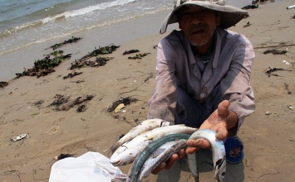 Tiếp tục duy trì quan trắc môi trường biển 4 tỉnh miền Trung - Hình 1