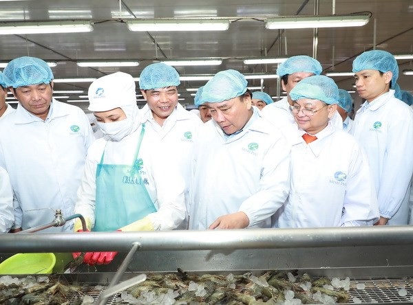 Thủ tướng thăm mô hình chế biến tôm xuất khẩu trước Hội nghị về phát triển ngành tôm Việt Nam - Hình 1