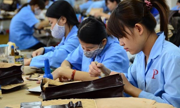 Hướng dẫn thành lập các tổ chức chính trị - xã hội tại doanh nghiệp