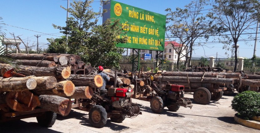Gia Lai: Bắt giữ 14 xe công nông chở gỗ trái phép - Hình 1