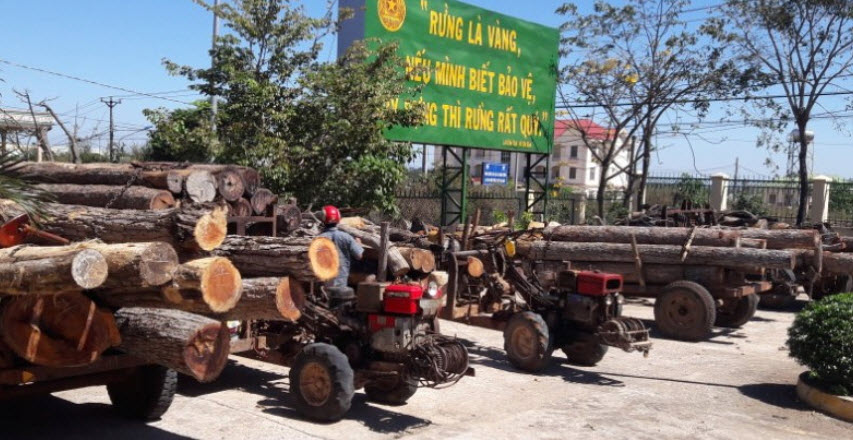 Gia Lai: Bắt giữ 14 xe công nông chở gỗ trái phép
