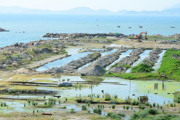 Dự án Nha Trang Sao: Đầu tư hay “đầu cơ đất”?