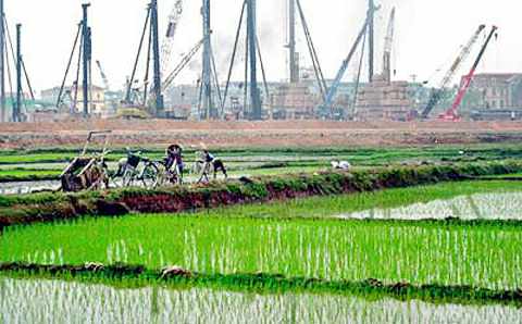 Hà Nội: 61,8 ha đất trồng lúa được Thủ tướng cho phép chuyển đổi sang đất phi nông nghiệp