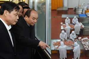 Thủ tướng tới thăm một số mô hình công nghiệp và nông nghiệp công nghệ cao - Bắc Ninh - Hình 1
