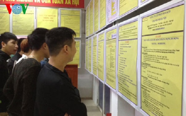 Năm 2017: Khoảng 20 vạn sinh viên ra trường thất nghiệp