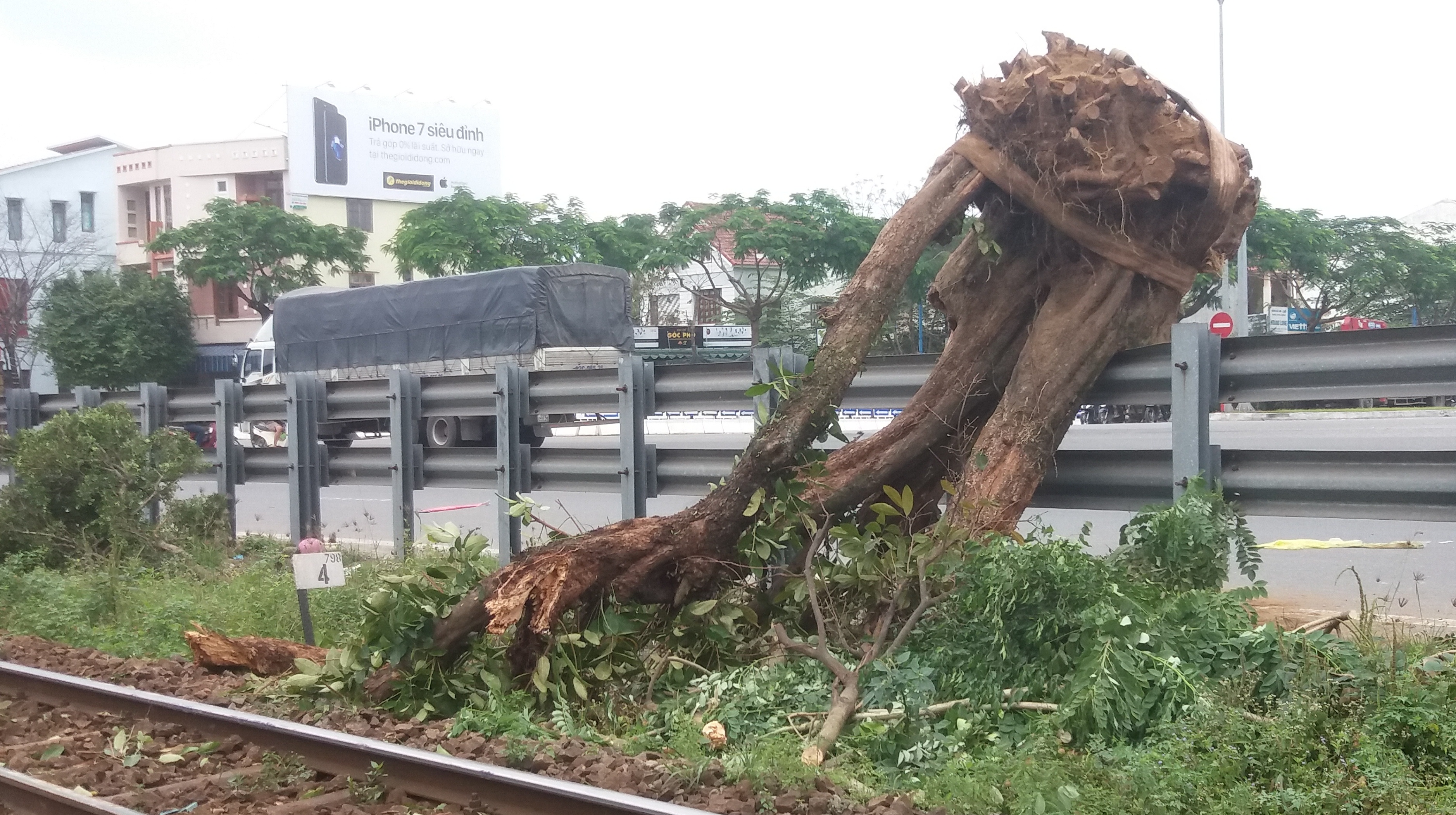 TP. Đà Nẵng: Tàu thống nhất đâm xe đang cẩu cây trên đường sắt - Hình 1
