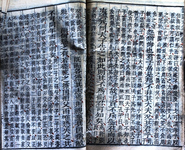 Hà Tĩnh: Phát hiện nhiều sách cổ Hán-Nôm quý hiếm lưu giữ tại nhà dân - Hình 2