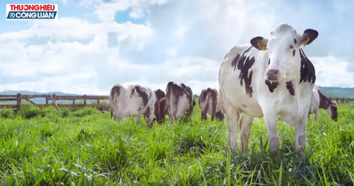 Mộc Châu: Thước phim miền du mục