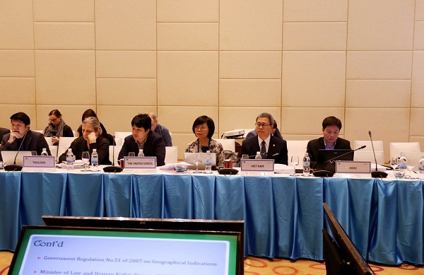 Khai mạc Cuộc họp lần thứ 44 Nhóm chuyên gia APEC về Sở hữu trí tuệ (IPEG 44) - Hình 1