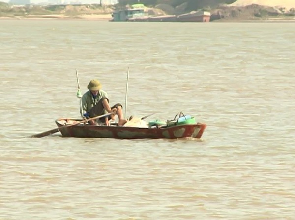 Hưng Yên: Nhộn nhịp vào mùa đánh bắt cá mòi trên sông Hồng - Hình 1