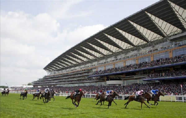 Chính thức cho phép hoạt động kinh doanh cá cược từ 31/3