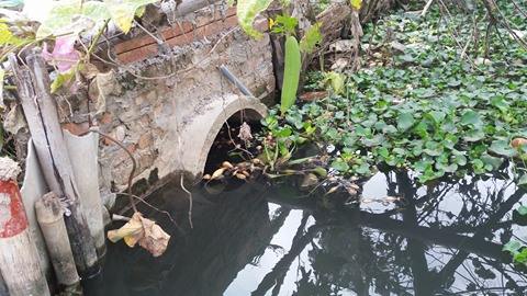 Phản hồi bài viết Người dân "tố" các NM ở Tiên Lãng (Hải Phòng) xả thải gây hại MT