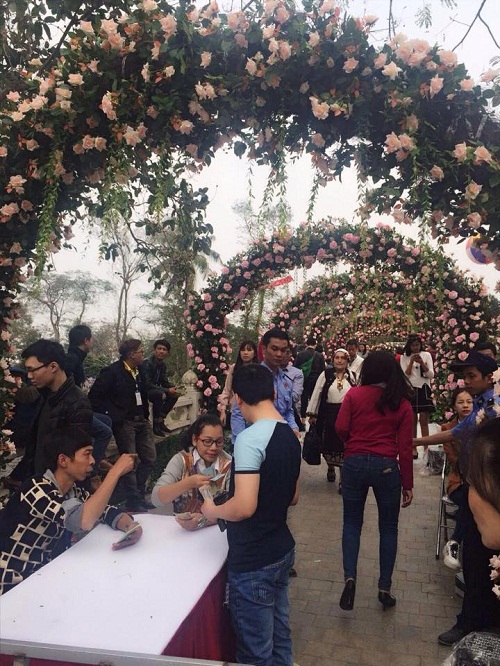 Sở VH-TT Hà Nội: Yêu cầu báo cáo về hoa hồng giả tại Lễ hội Hoa hồng - Hình 1