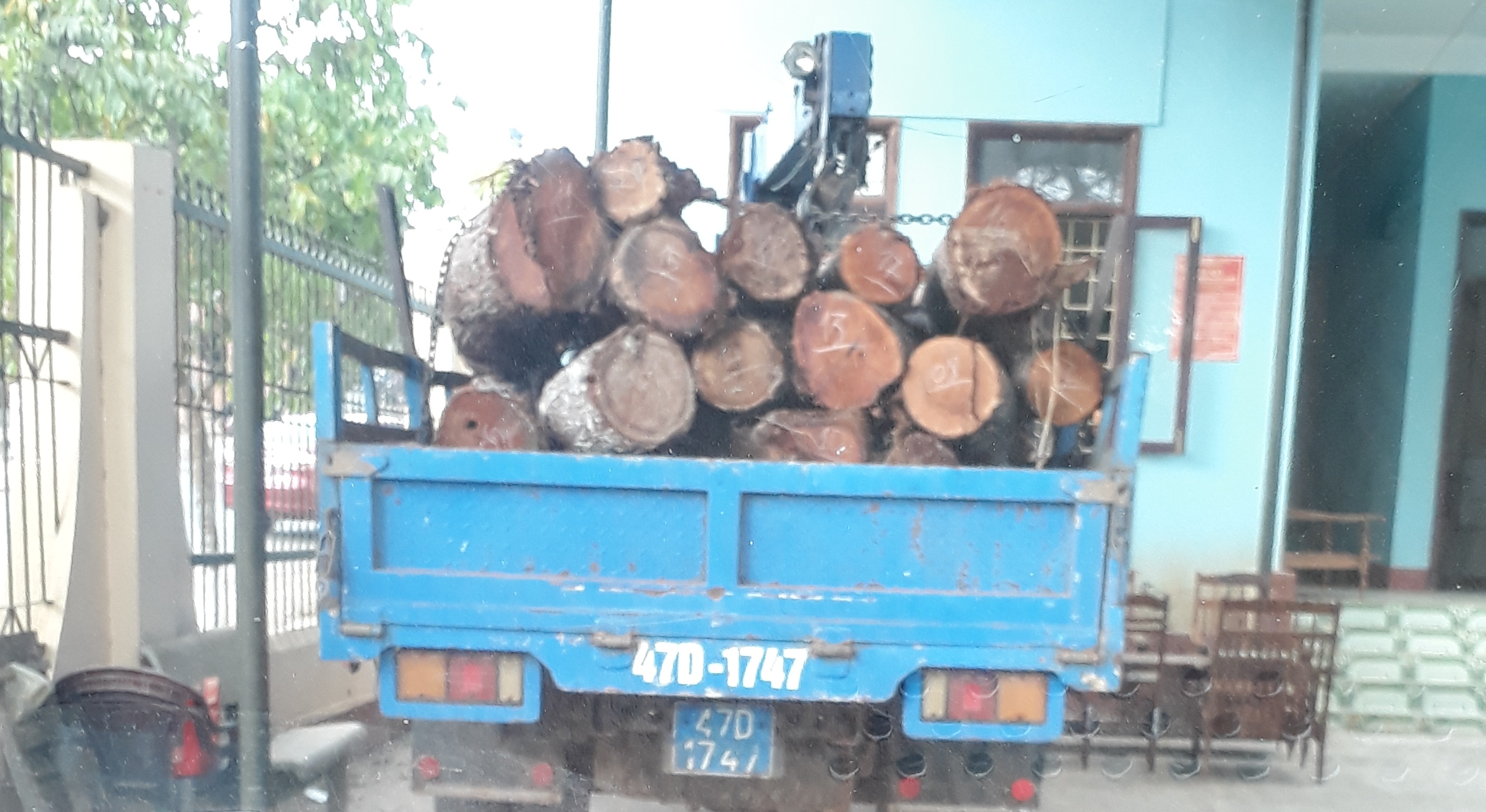 Đắk Lắk: Bắt giữ 3,4 m3 gỗ vô chủ - Hình 1