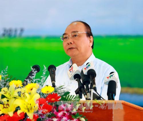 Việt Nam: Sản xuất lúa gạo đang đứng trước "giờ G" của công cuộc đổi mới