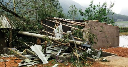Thanh Hóa: Lốc xoáy kèm mưa đá gây thiệt hại gần 65 tỷ đồng - Hình 1