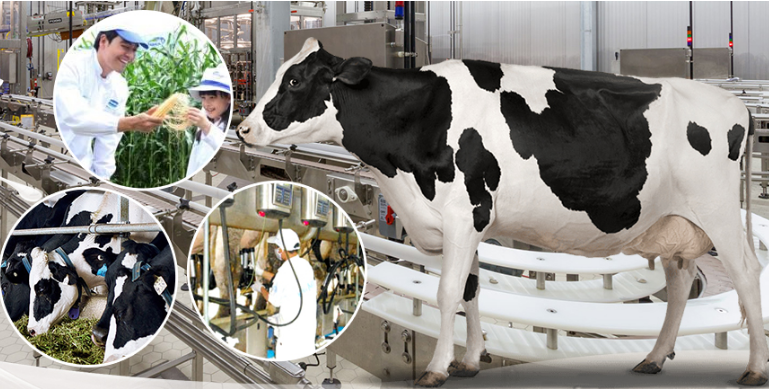 Triển lãm quốc tế ngành sữa và sản phẩm sữa - VIETNAM DAIRY 2017