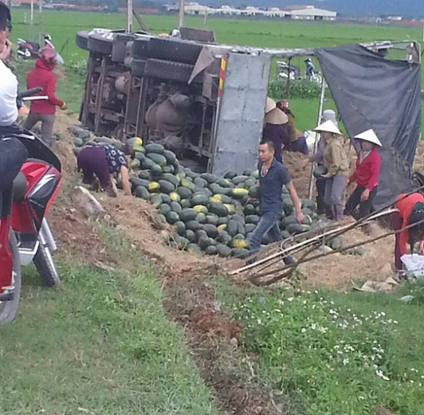 Hà Tĩnh: Người dân giúp tài xế gom 20 tấn dưa đỏ khi xe tải lật xuống ruộng - Hình 1