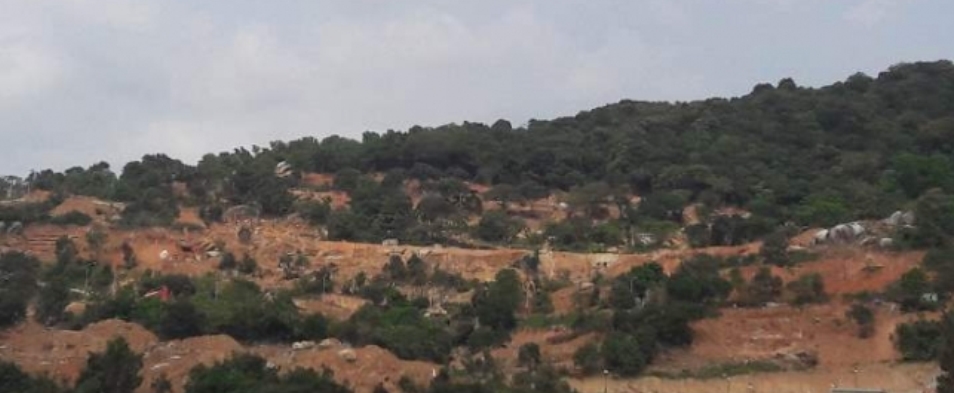 Đà Nẵng: Kiến nghị Thủ tướng điều chỉnh quy hoạch Bán đảo Sơn Trà