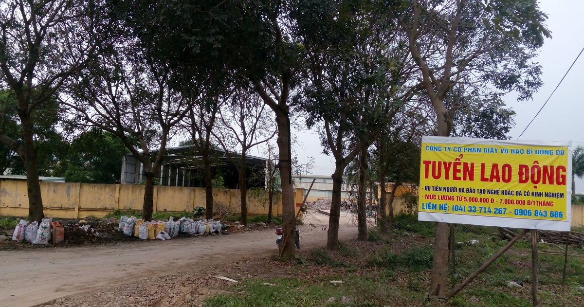 Công ty CP Giấy và bao bì Đông Đô: Có xả thải “đầu độc” sông Bùi, sông Đáy?